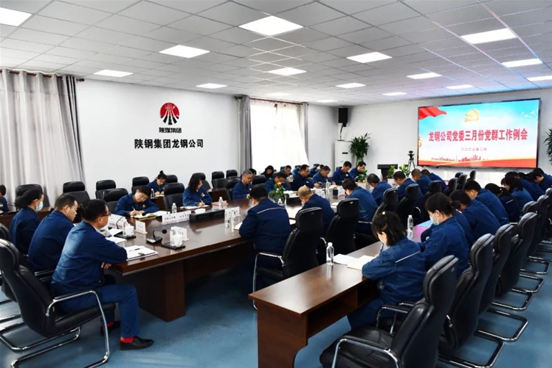 公司黨委召開三月份黨群工作例會(huì)